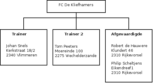 organigram van de voetbalploeg